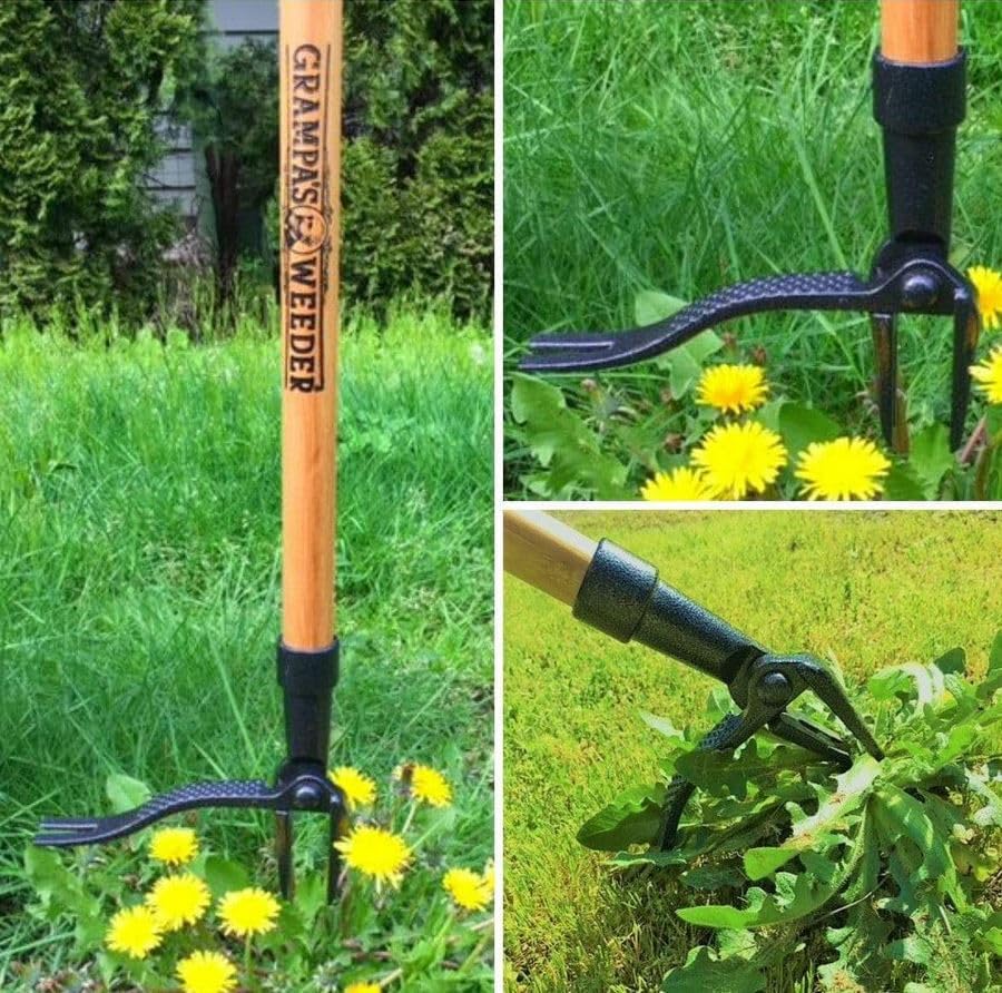Stand Up Weed Puller Tool with 4-Claw Steel Head and Long Handle
